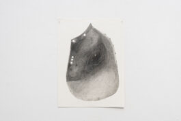 cd @ carolinedavid . studio