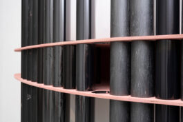 cd @ carolinedavid . studio