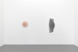 cd @ carolinedavid . studio