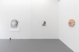 cd @ carolinedavid . studio