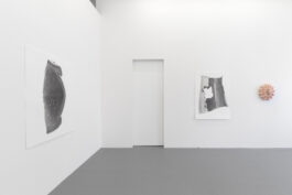 cd @ carolinedavid . studio