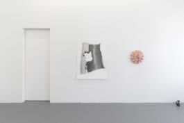 cd @ carolinedavid . studio