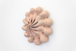 cd @ carolinedavid . studio