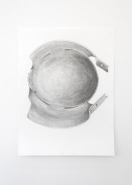 cd @ carolinedavid . studio