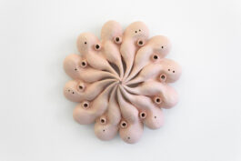 cd @ carolinedavid . studio