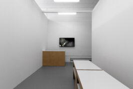 cd @ carolinedavid . studio