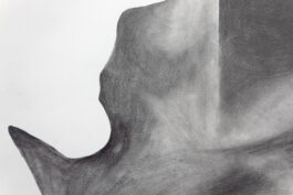 cd @ carolinedavid . studio