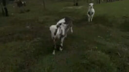 cd @ carolinedavid . studio