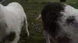 cd @ carolinedavid . studio