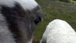 cd @ carolinedavid . studio