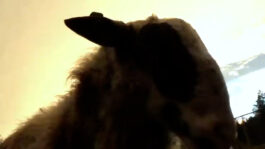 cd @ carolinedavid . studio