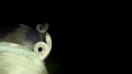 cd @ carolinedavid . studio