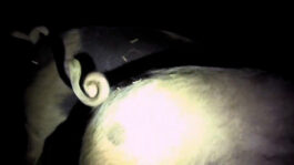 cd @ carolinedavid . studio